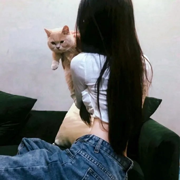 完美小姐进化论